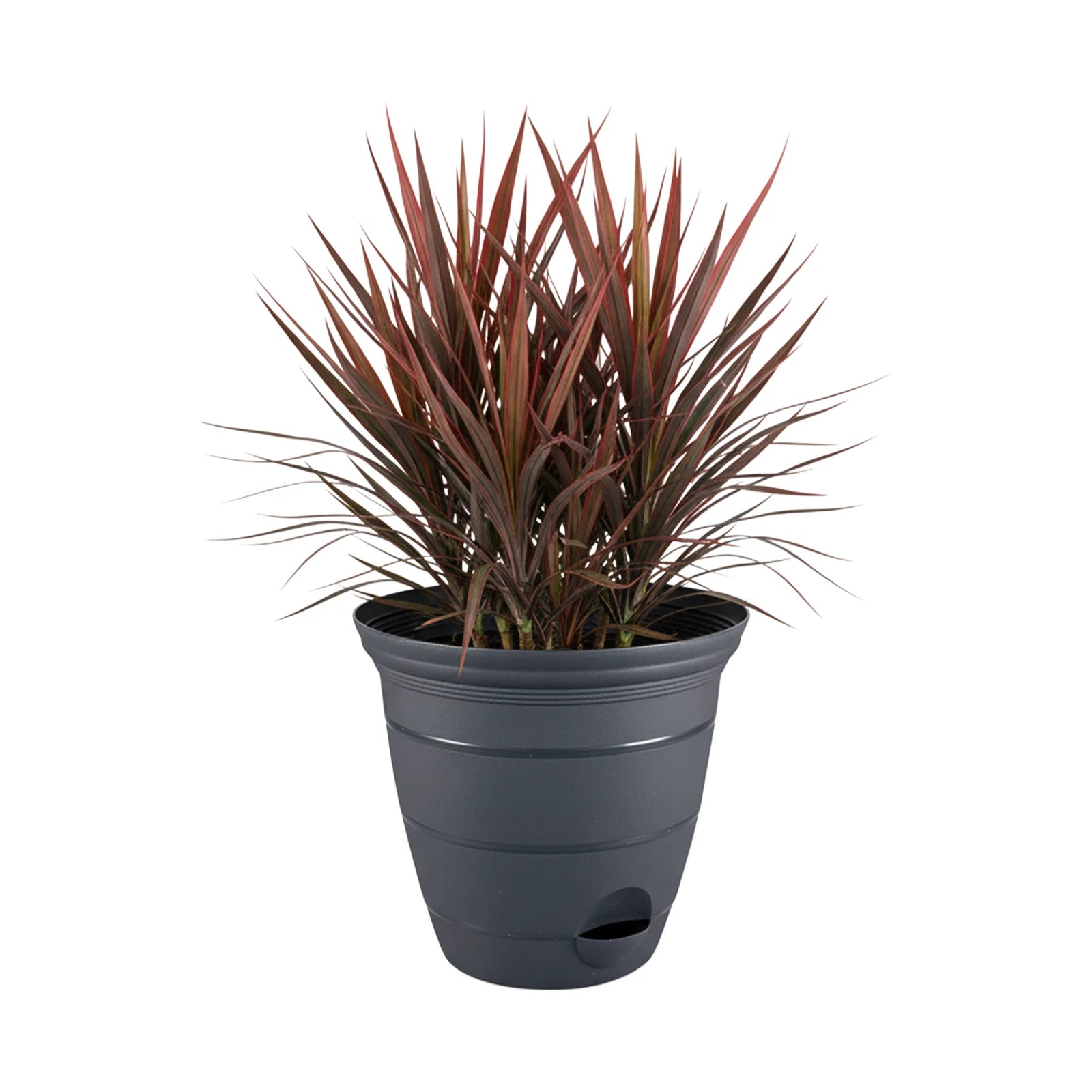 Moda 30cm Charcoal Roman Self-Watering Planter, extra large charcoal classic-style pot with built-in water reservoir