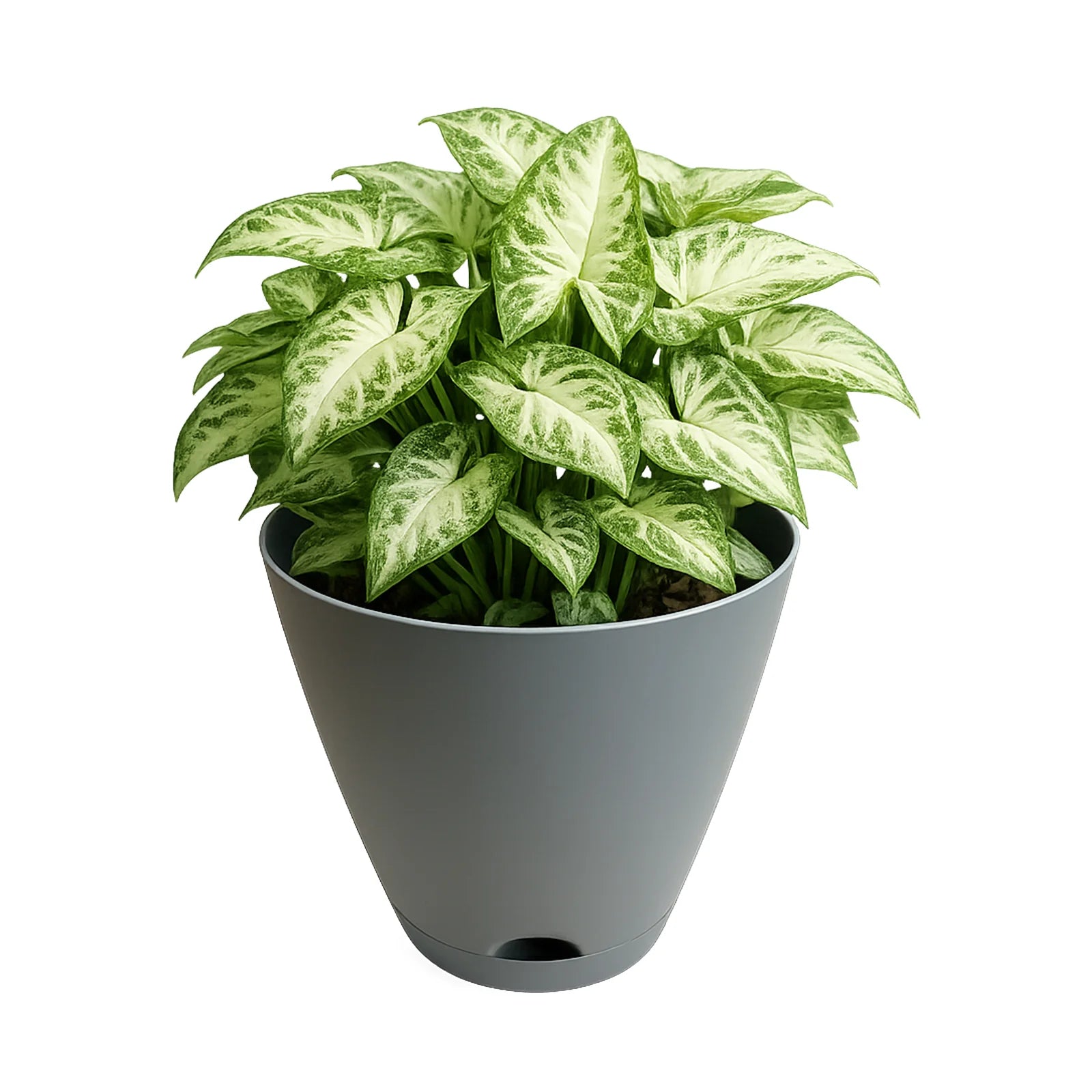 Moda 30cm Grey Oslo Self-Watering Planter, extra large grey modern round pot with built-in water reservoir