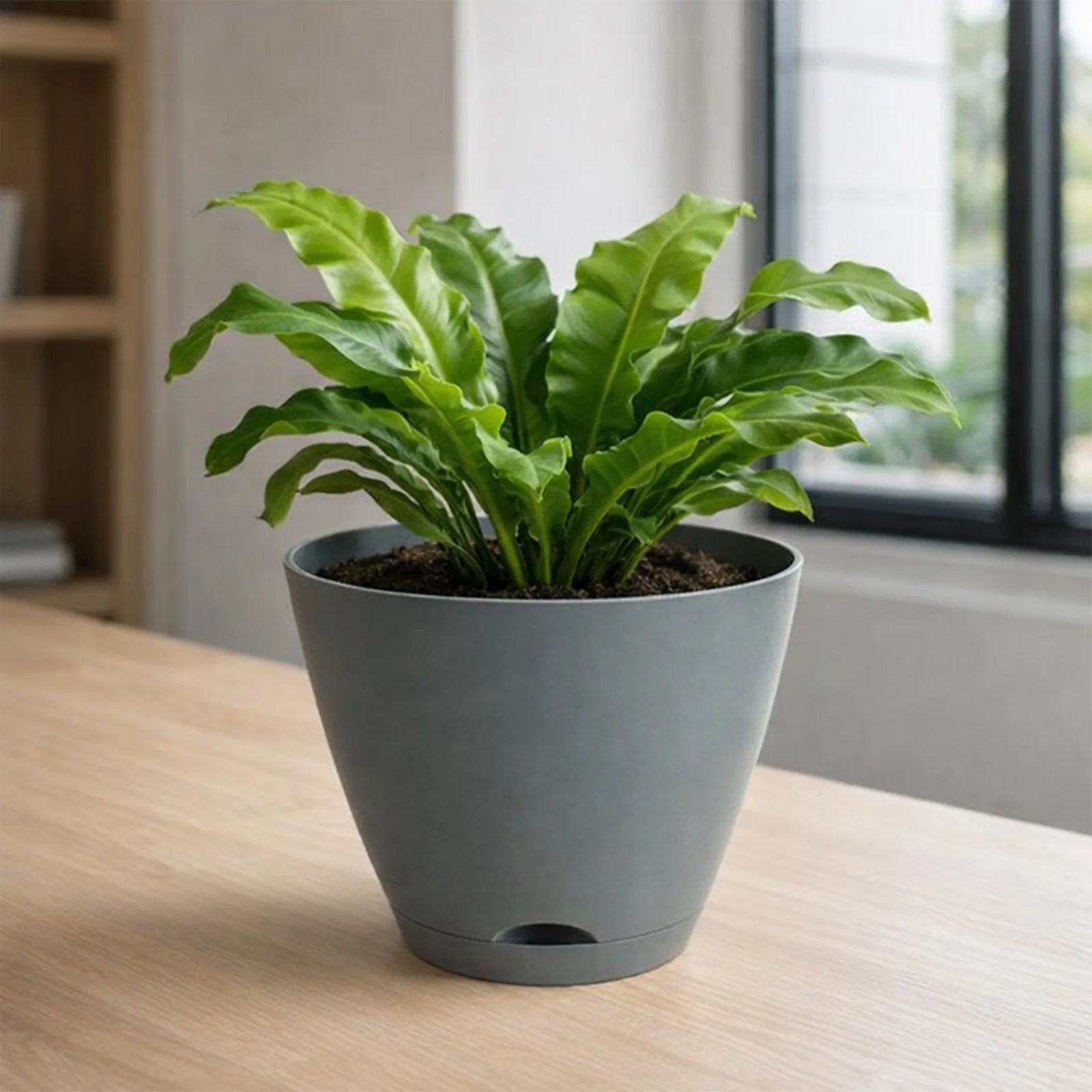 Moda 30cm Grey Oslo Self-Watering Planter, extra large grey modern round pot with built-in water reservoir