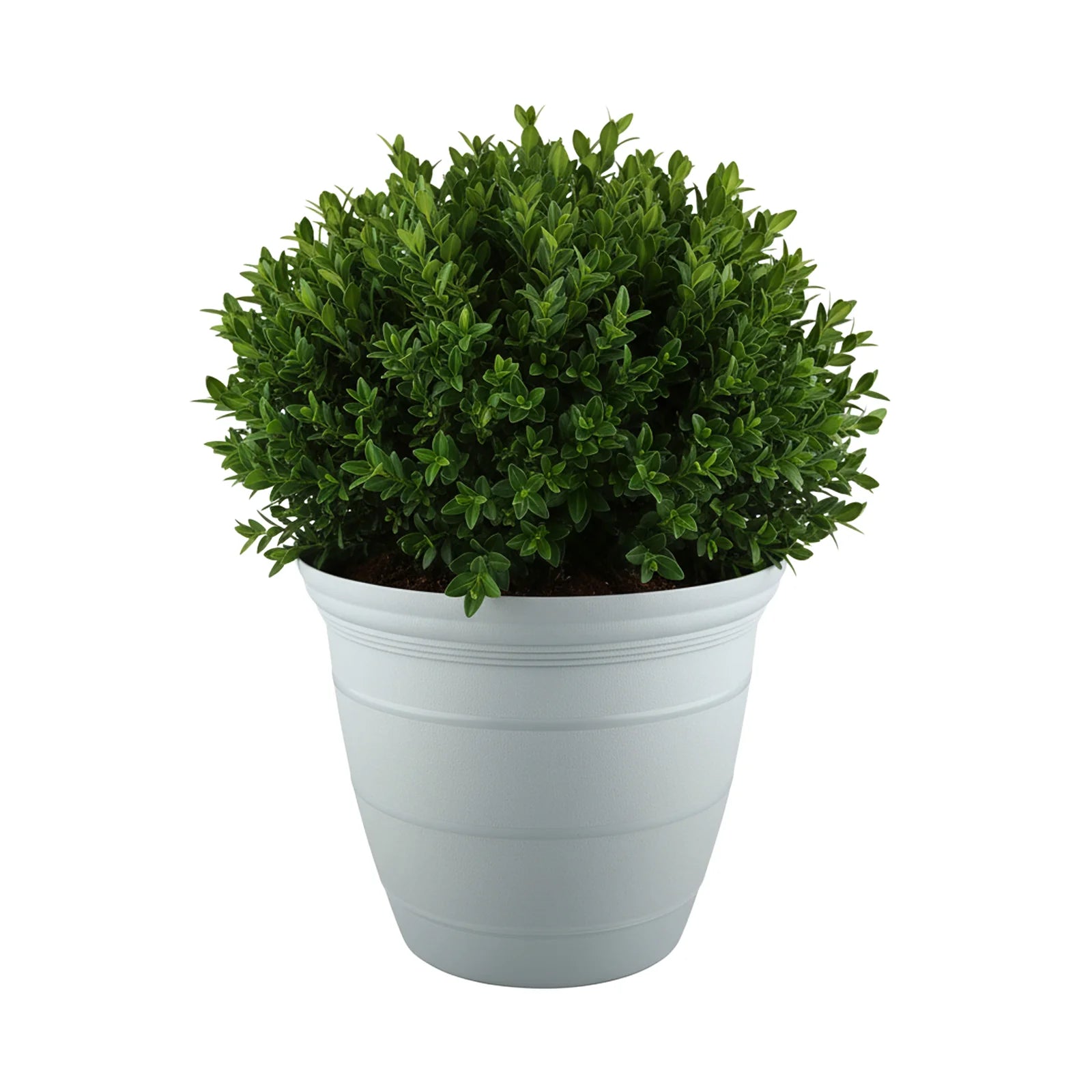 Moda 30cm Grey Roman Self-Watering Planter, extra large grey classic-style pot with built-in water reservoir