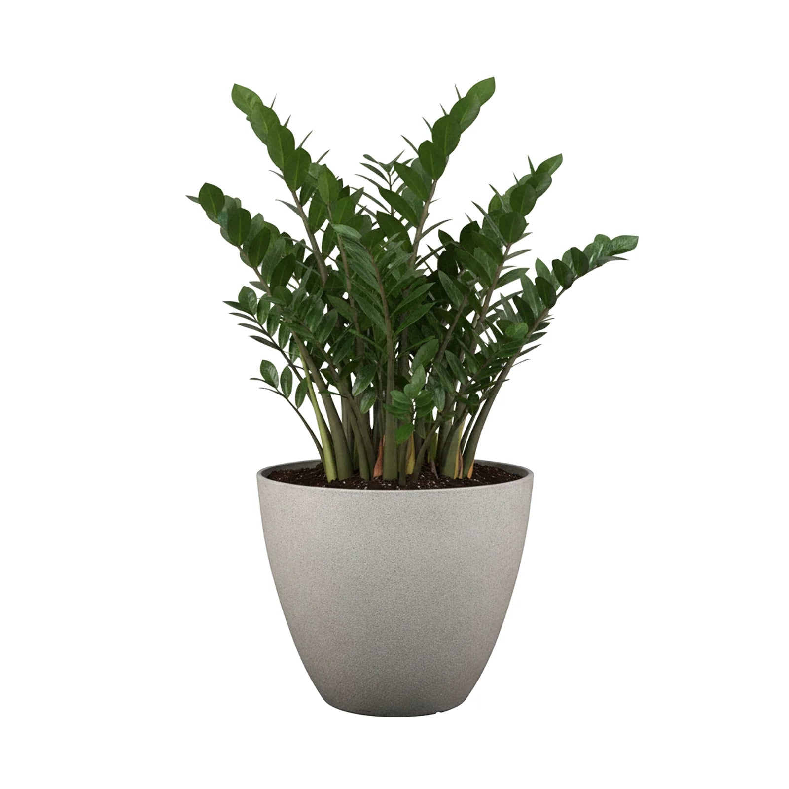 Moda 30cm Sandstone Faux Planter, lightweight sandstone faux stone effect round pot for indoor and outdoor use