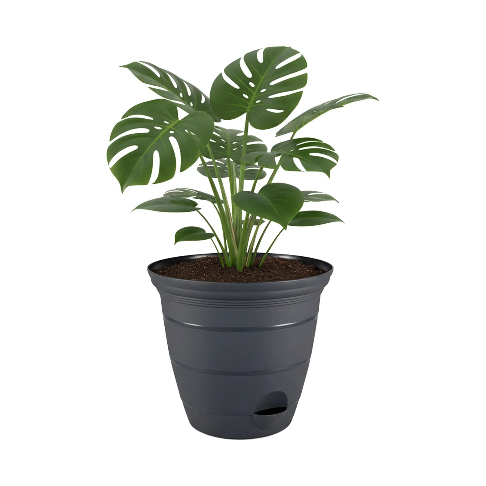 Moda 38cm Charcoal Roman Self-Watering Planter, jumbo charcoal classic-style pot with built-in water reservoir