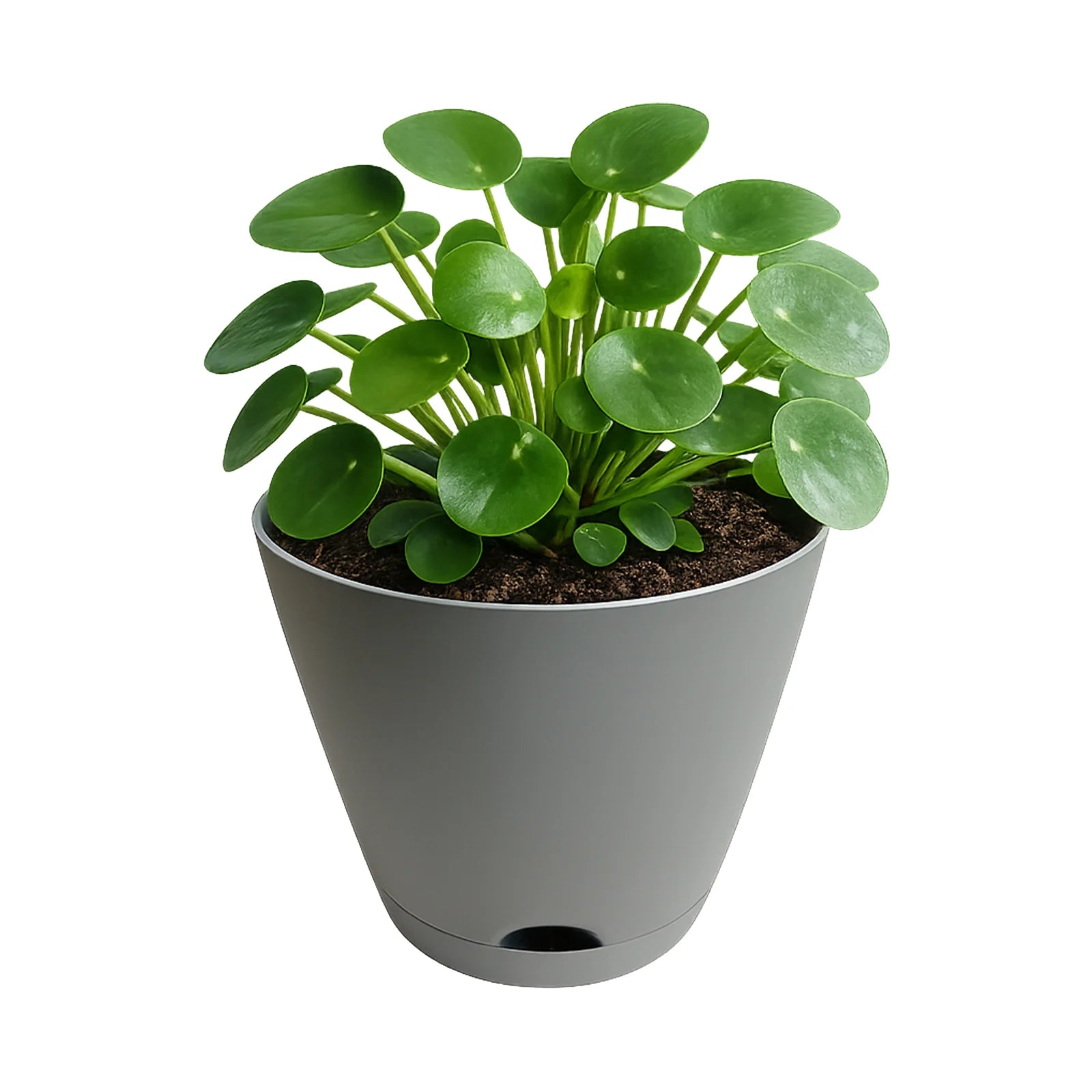 Moda 38cm Grey Oslo Self-Watering Planter, jumbo grey modern round pot with built-in water reservoir