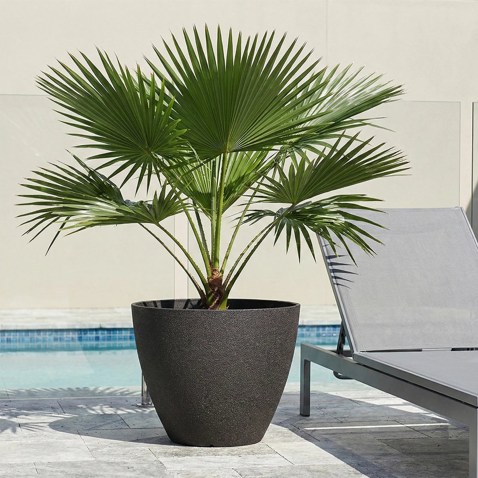 Moda 44cm Black Faux Planter, large lightweight black faux stone effect round pot for indoor and outdoor use