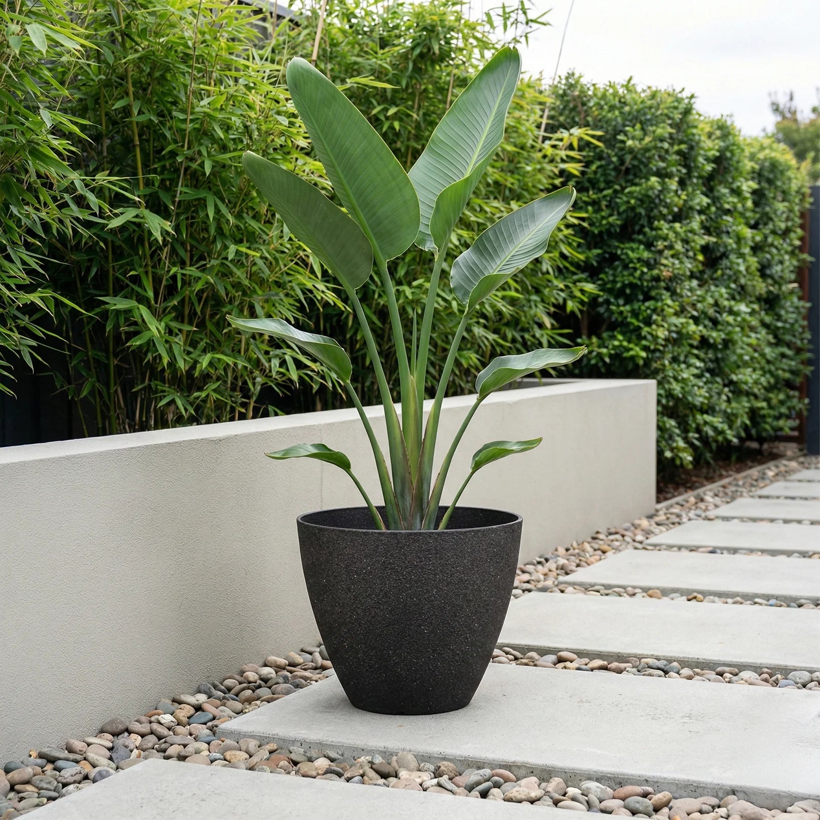 Moda 44cm Black Faux Planter, large lightweight black faux stone effect round pot for indoor and outdoor use