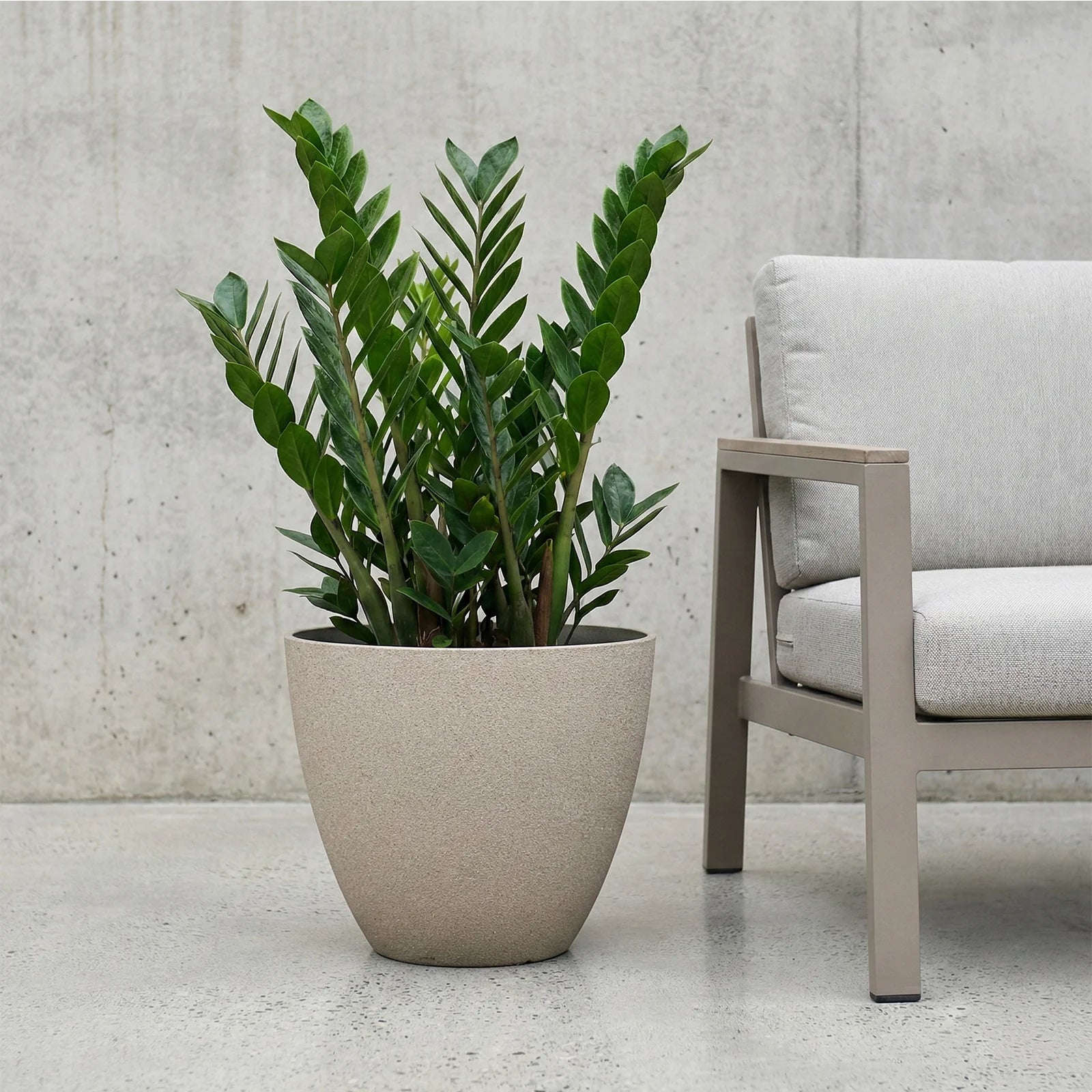 Moda 44cm Sandstone Faux Planter, large lightweight sandstone faux stone effect round pot for indoor and outdoor use