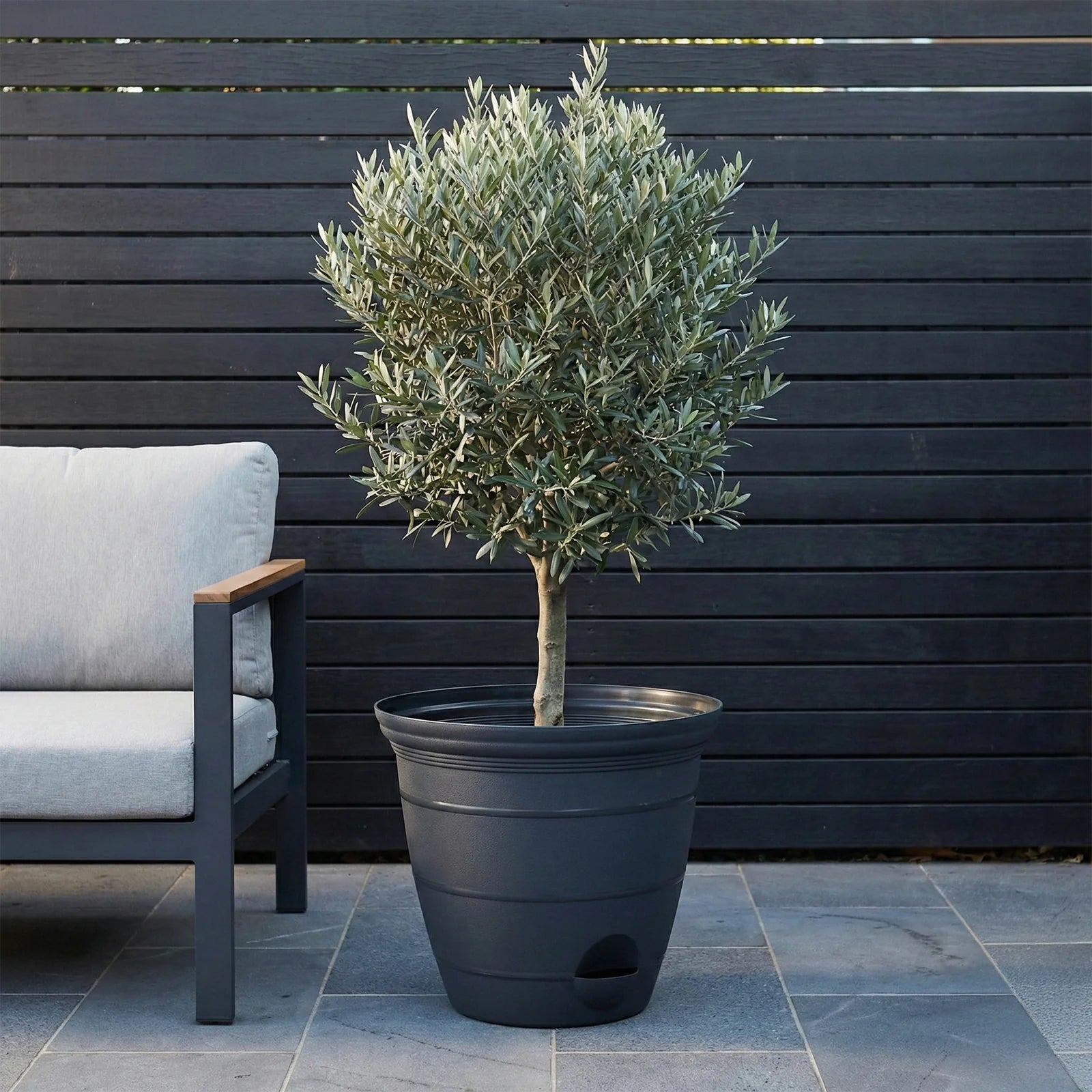 Moda 46cm Charcoal Roman Self-Watering Planter, XXL charcoal classic-style pot with built-in water reservoir