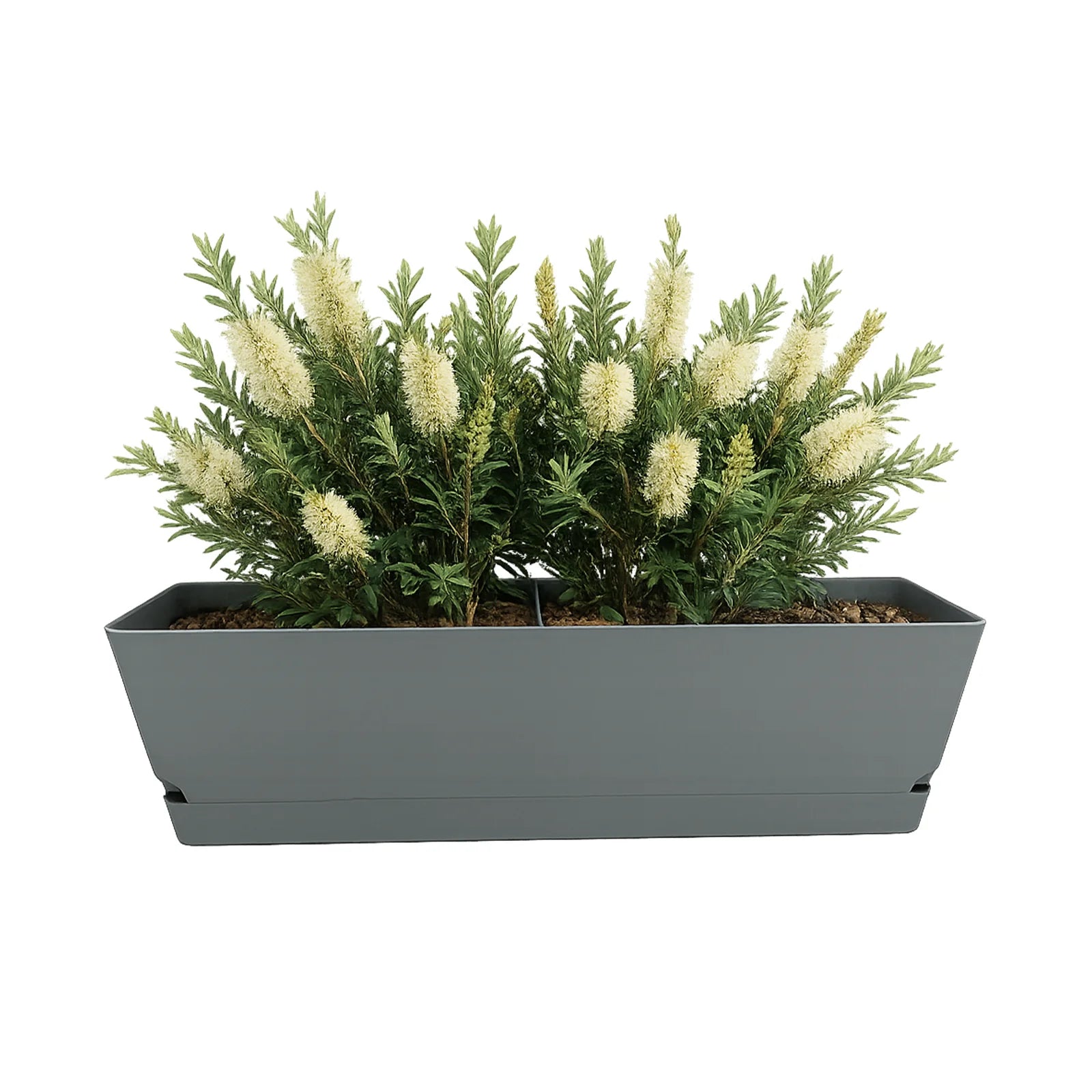 Moda 61cm Grey Oslo Self-Watering Trough Planter, large grey rectangular trough with water reservoir for outdoor use