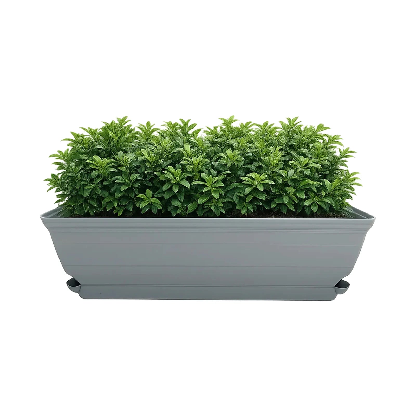Moda Grey 60cm Roman Trough Self-Watering Planter, large classic-style grey rectangular trough with self-watering system