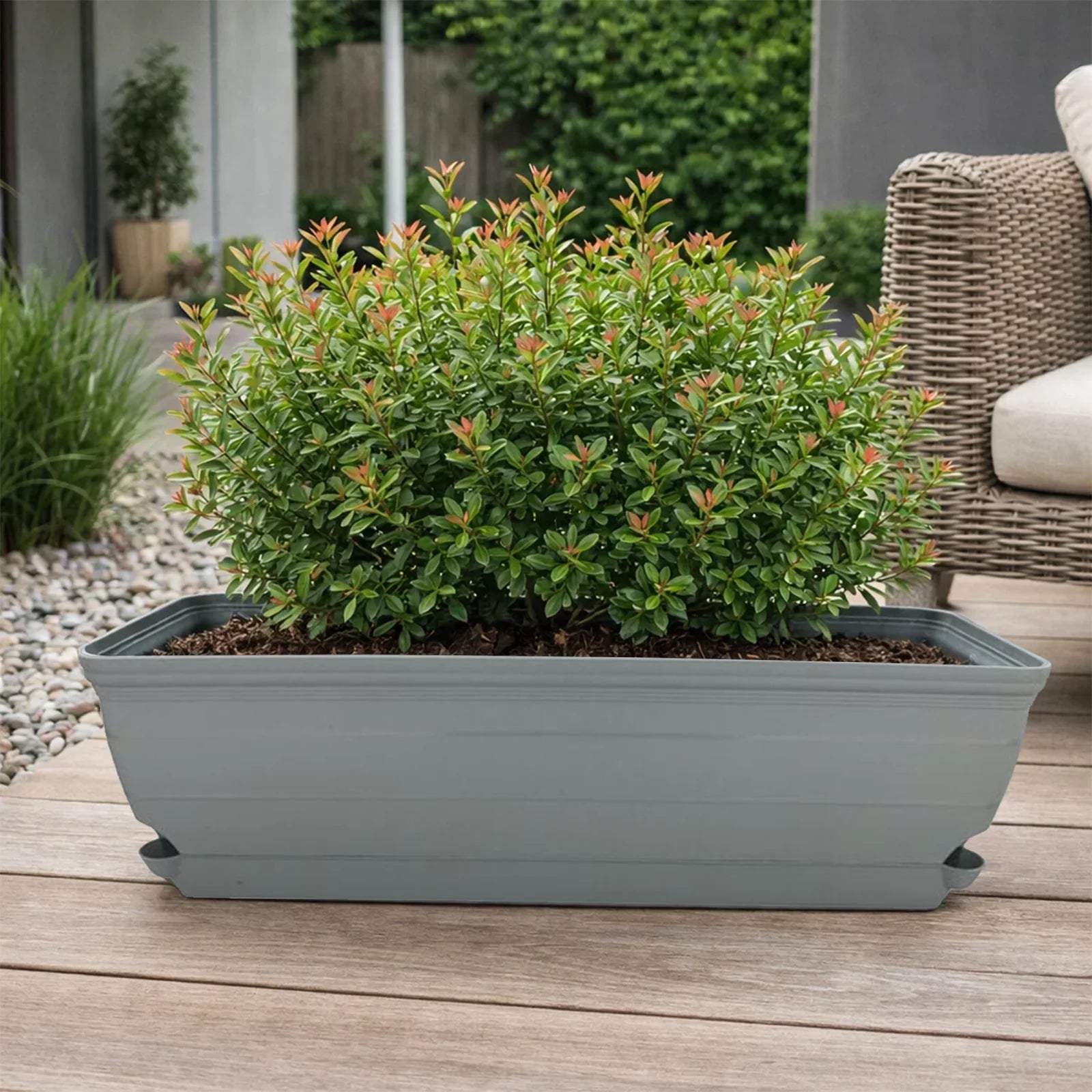 Moda Grey 60cm Roman Trough Self-Watering Planter, large classic-style grey rectangular trough with self-watering system